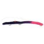 kelly's Kelly's Fire Tail's. Purple