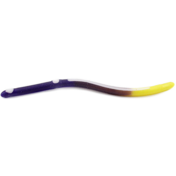 kelly's Fire Tail's. Purple Yellowtail