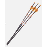 Ravin Match Weight Lighted Arrows 400Gr .003 3PK