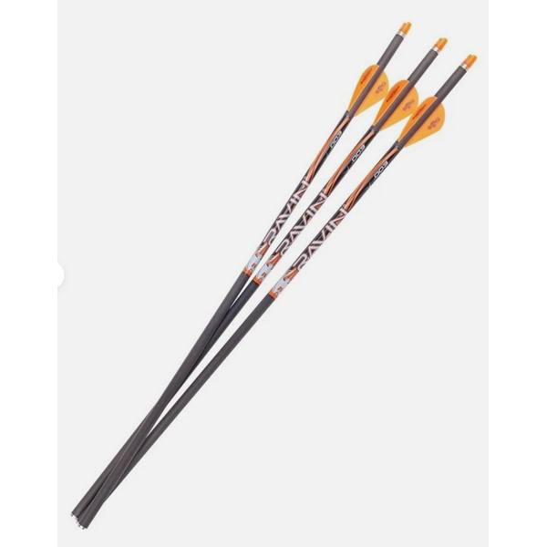 Ravin Match Weight Lighted Arrows 400Gr .003 3PK