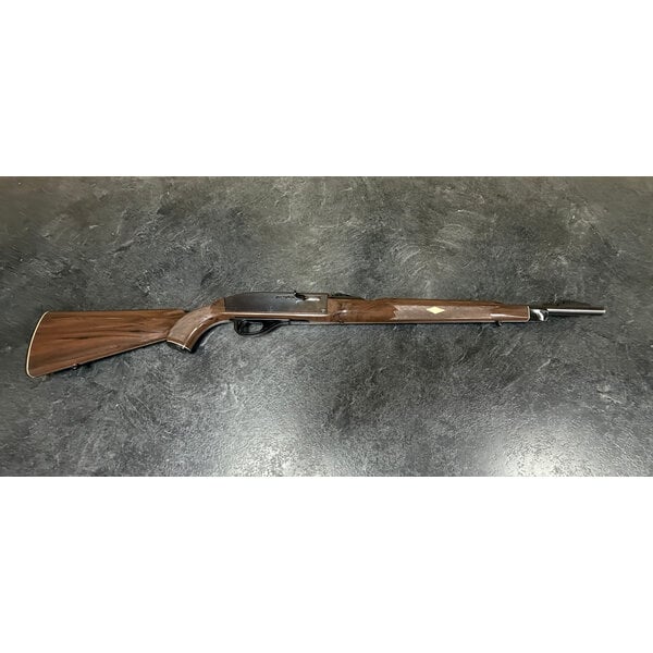 Remington Nylon 66 22 LR Semi Auto w/Sights