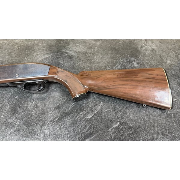 Remington Nylon 66 22 LR Semi Auto w/Sights