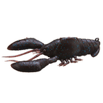 Megabass Sleeper Craw 3"