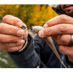 VMC Minnow Shaker Jig