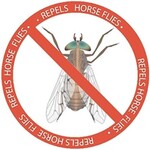 Dragonfly Wingman Repellent 2-pk