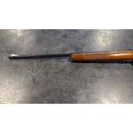 Browning T-Bolt 22 LR 24" BBL w/Peep Sights