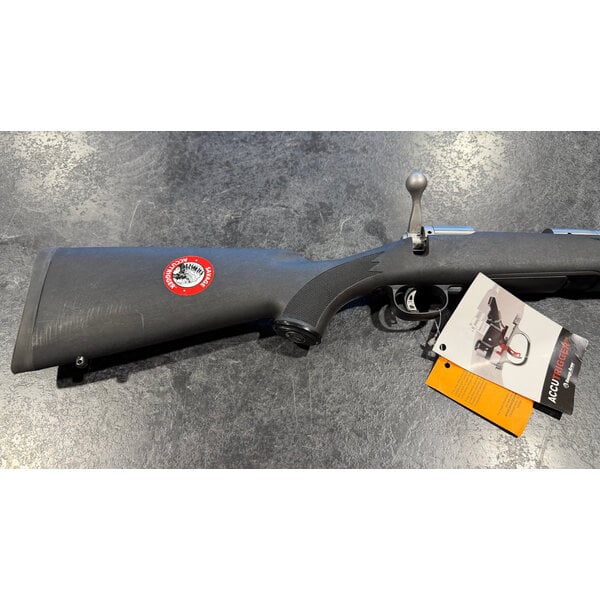 Savage Model 16 Stainless .223 Rem Bolt Action 22" BBL w/Det Mag