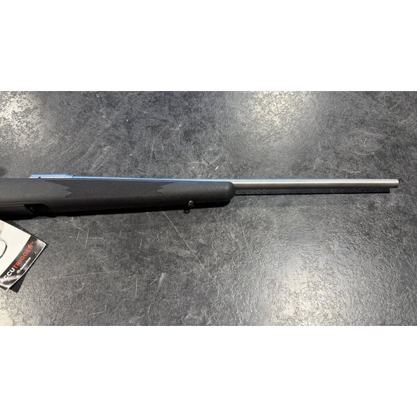 Savage Model 16 Stainless .223 Rem Bolt Action 22" BBL w/Det Mag