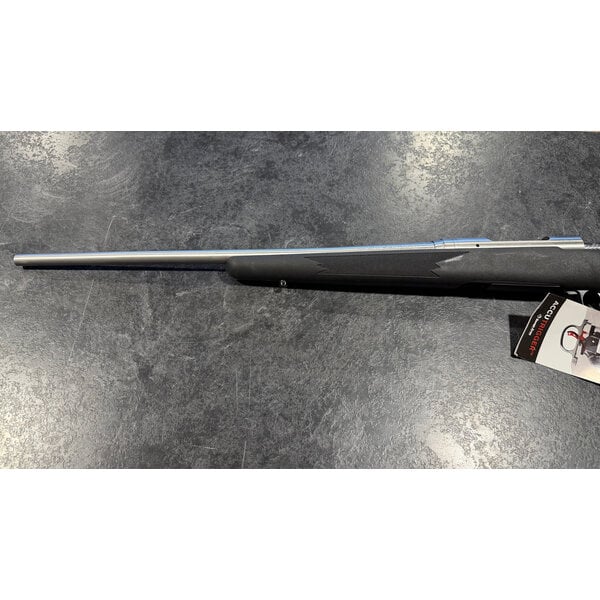 Savage Model 16 Stainless .223 Rem Bolt Action 22" BBL w/Det Mag