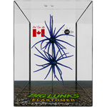Big Lunks Elastomer "Coike Style" 8.5mm Lure