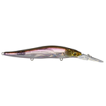 Megabass Vision 110 +2 HT Hakone Wakasagi