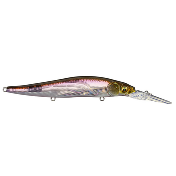 Megabass Vision 110 +2 HT Hakone Wakasagi