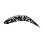 Yakima FlatFish F-7