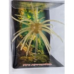 The Perfect Jig Urchin 20mm