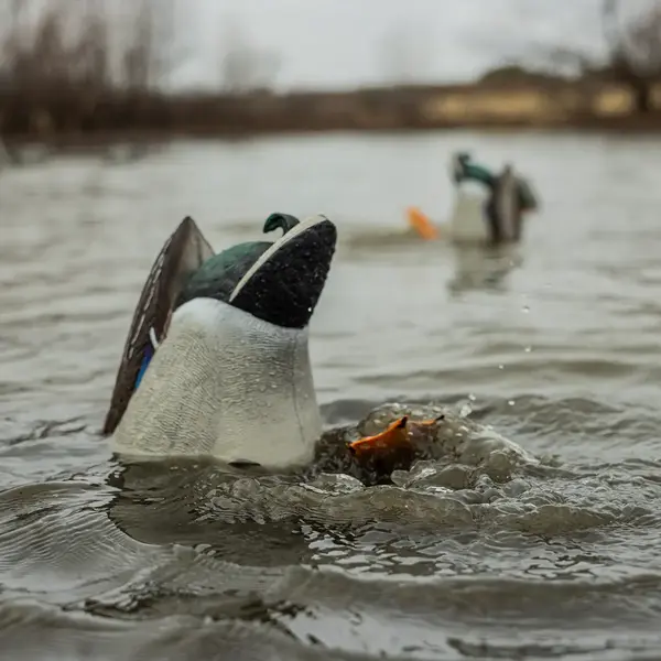 Avian-X Power Butt Kicker Drake Mallard