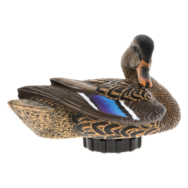 Avian-X Power Shaker Mallard Hen Preener