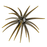 Berkley PowerBait MaxScent Moeba