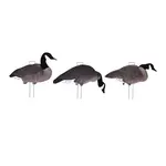 Tanglefree Fully Flocked Canada Skinny 12 Pack // 8 Feeders, 2 Uprights, 2 Walkers.