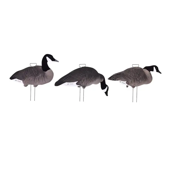 Tanglefree Fully Flocked Canada Skinny 12 Pack // 8 Feeders, 2 Uprights, 2 Walkers.