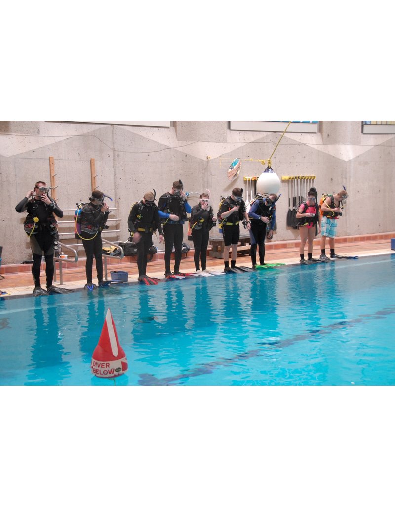 Scuba Diver/OW Course Classroom & Pool w/o elearning code