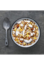 Alpen Fuel Coconut Mango Granola Breakfast