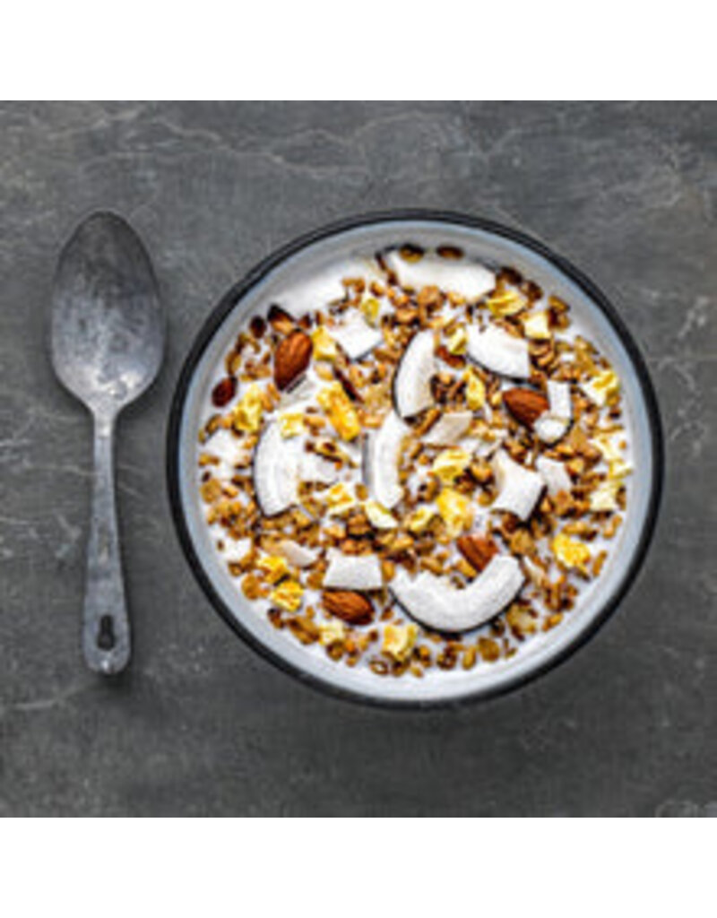 Alpen Fuel Coconut Mango Granola Breakfast