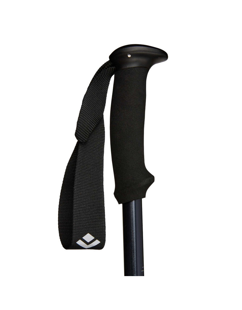 Black Diamond Explorer 2 Trekking Poles
