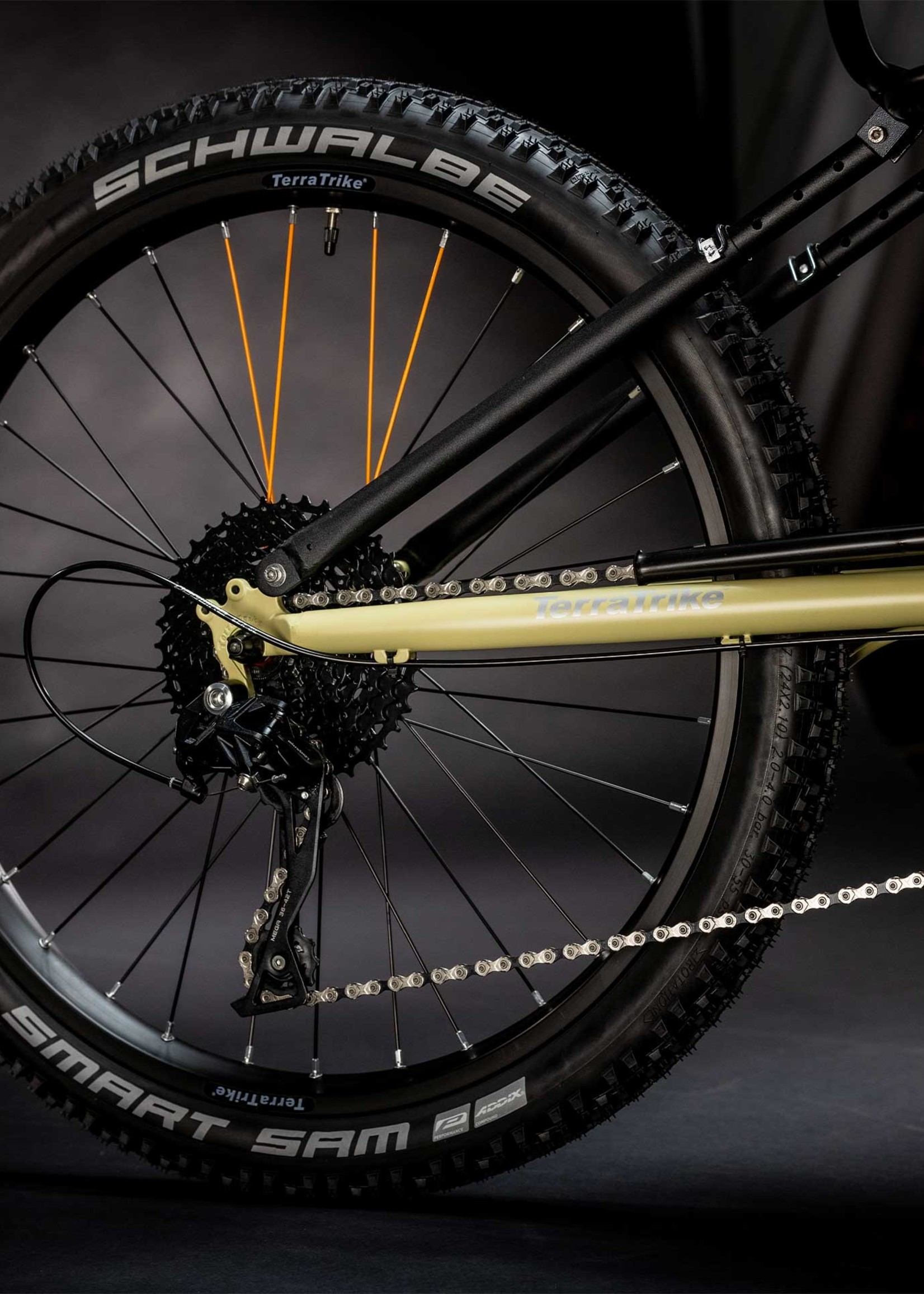 TerraTrike All Terrain Recumbent Trike 