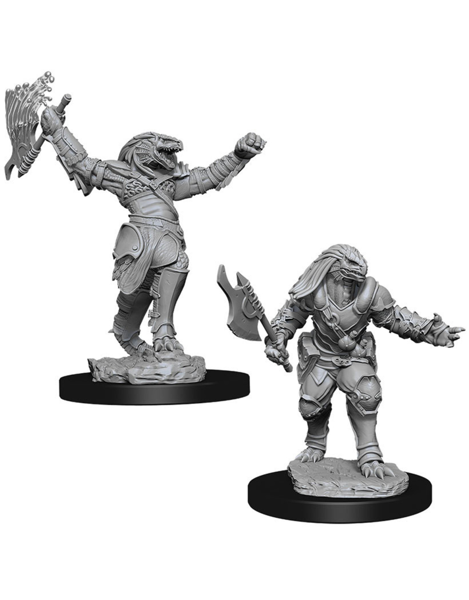 WizKids DnD Unpainted W11 Female Dragonborn Fighter
