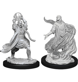 WizKids DnD Unpainted W11 Male Elf Sorcerer