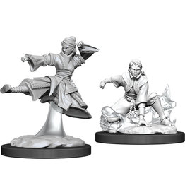 WizKids DnD Unpainted W11 Female Human Monk