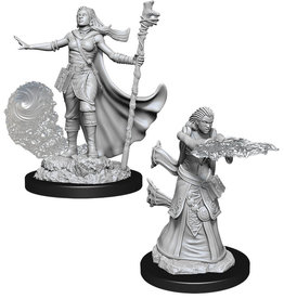 WizKids DnD Unpainted W11 Female Human Wizard