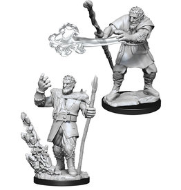 WizKids DnD Unpainted W11 Male Firbolg Druid