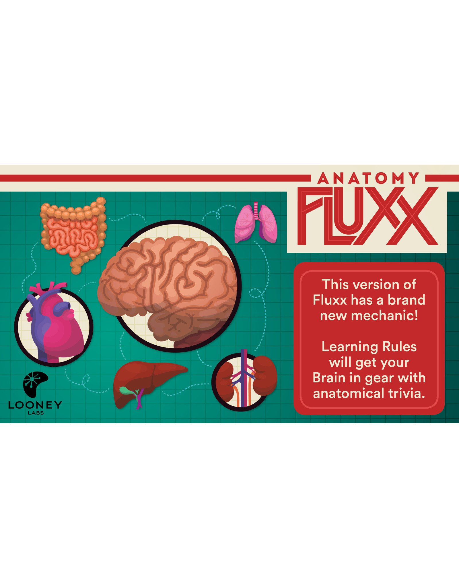 Fluxx Anatomy Fluxx