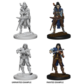 WizKids Pathfinder Unpainted W4 Elf Female Bard