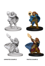 WizKids DnD Unpainted W4 Dwarf Female Wizard (retired)