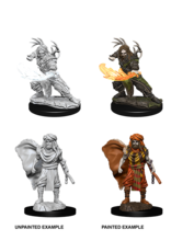WizKids DnD Unpainted W6 Male Human Druid