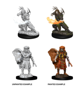 WizKids DnD Unpainted W6 Male Human Druid
