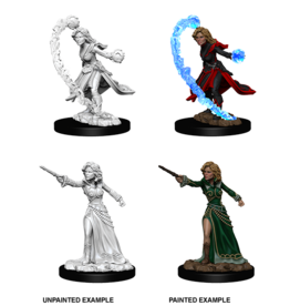 WizKids Pathfinder Unpainted W6 Female Human Wizard