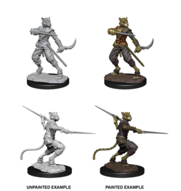 WizKids DnD Unpainted W7 Tabaxi Male Rogue