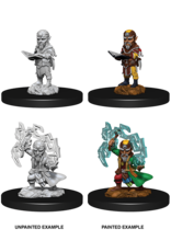 WizKids Pathfinder Unpainted W9 Male Gnome Sorcerer