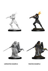 WizKids DnD Unpainted W10 Female Human Paladin
