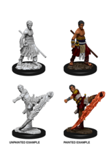WizKids DnD Unpainted W10 Male Half-Elf Monk