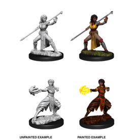 WizKids DnD Unpainted W10 Female Half-Elf Monk