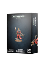 Warhammer 40k Adepta Sororitas Canoness