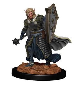 WizKids D&D Icons of the Realms Premium Fig W2 Elf Male Cleric