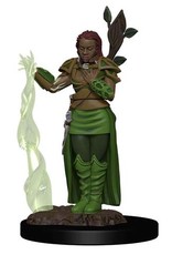 WizKids D&D Icons of the Realms Premium Fig W2 Human Female Druid