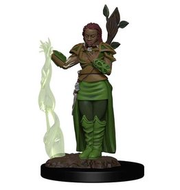 WizKids D&D Icons of the Realms Premium Fig W2 Human Female Druid