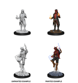 WizKids DnD Unpainted W12 Male Tiefling Sorcerer