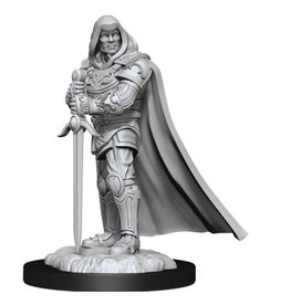 WizKids DnD Unpainted W13 Human Paladin Male